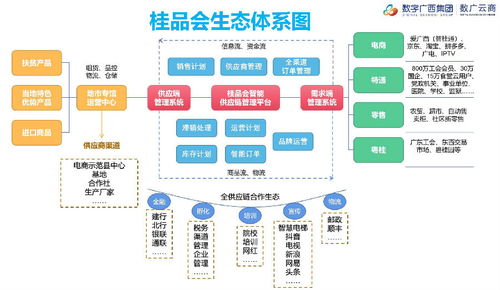数字广西集团积极打造智能供应链平台 助力乡村振兴